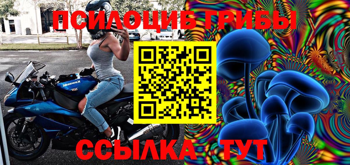 цена   Псилоцибиновые грибы мицелий  Вход с VPN  Псилоцибиновые грибы мухоморы  Десногорск 